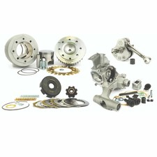 Pinasco tuning reed kit - pinasco,