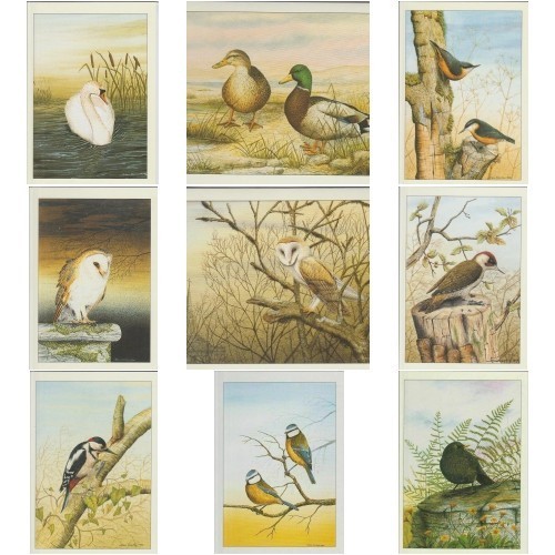 John dolton art - dolton, bird