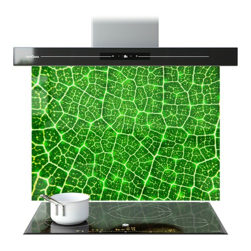 Kitchen glass splashback - glass,