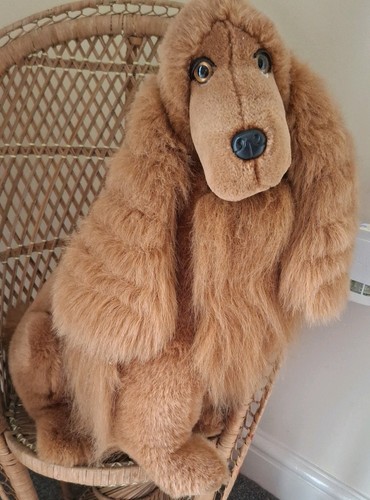 Carrini spaniel large - spaniel, 18