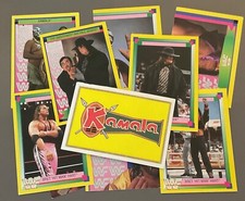 WWF WWE Merlin 1993 (Bret