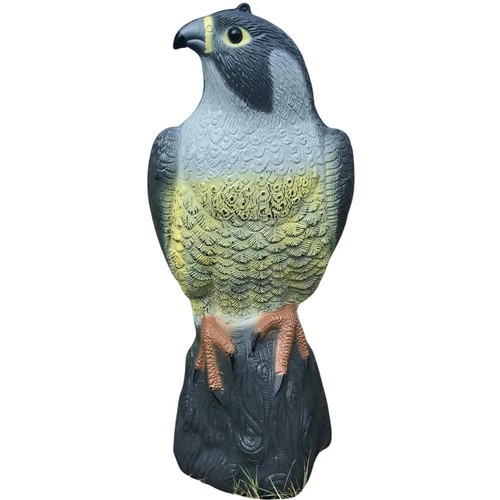 Peregrine falcon decoy - falcon,