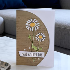 DAISIES WITH FOLIAGE & CURVE
