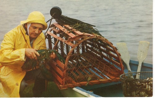 Atlantic coast fisherman - fisherman,