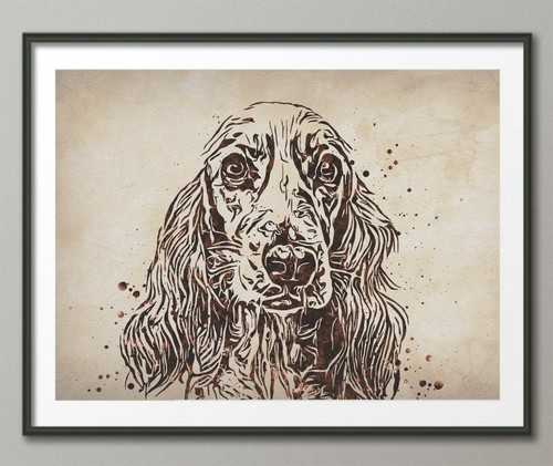 English cocker spaniel dog - cocker,