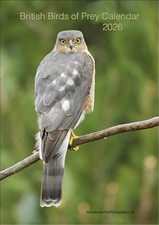 British Birds of Prey 2026 A4