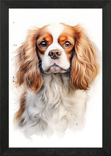 King charles spaniel dog