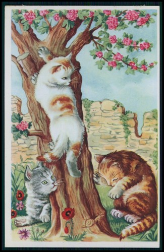 Cat fantasy kittens - cat,