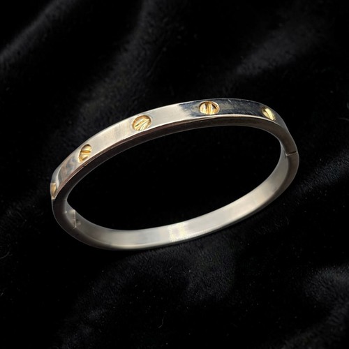 Stainless steel two tone - stainless, two-tone