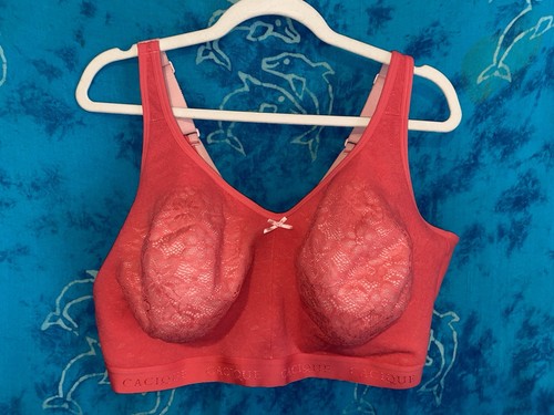 Cacique lane bryant cotton - cacique,