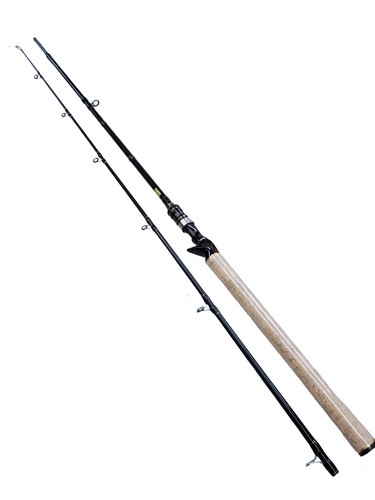 Bait caster and jigging - and,