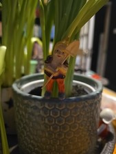 Vintage Kitschy Gnome