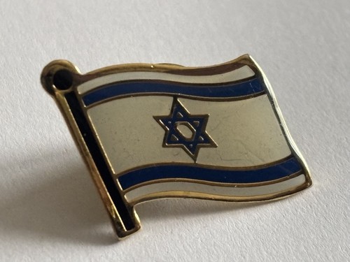 Israel flag lapel pin - pin, badge