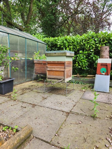 Beehives job lot - lot:, wooden