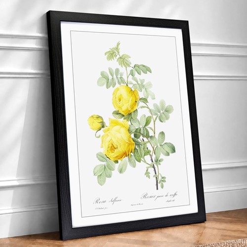 Yellow roses flowers vintage - roses,