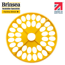 Brinsea Maxi Incubator Small Egg Quadrants - 4 Pack (40 quail eggs)