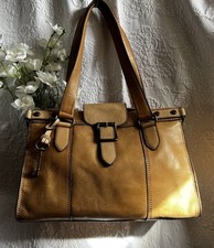 FOSSIL GLADSTONE lovely desert