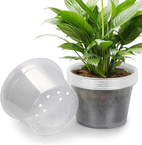 Pack inch large clear - 10,