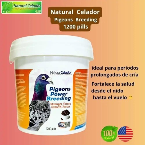 Natural celador pigeons power - celador,