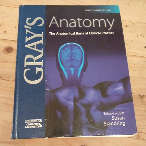 Gray anatomy the anatomical - the,