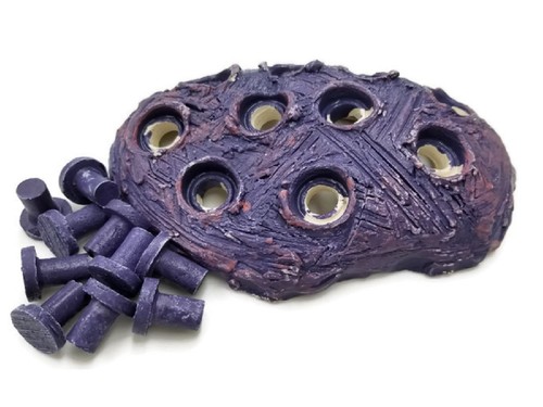 Coralline purple frag - purple,