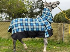 1200 D waterproof Horse Combo