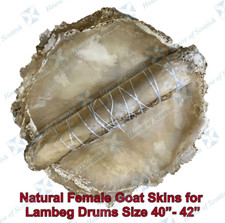 10-PIECES LAMBEG DRUM HEAD SKINS MADE OF FEMALE GOAT SIZE 40"~42" NATURAL FINISH