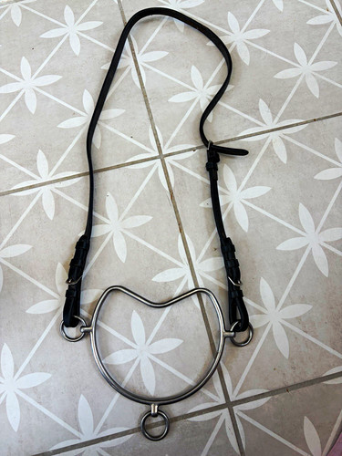 Chifney bit with leather