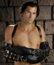 Strict Leather Pet Crawler