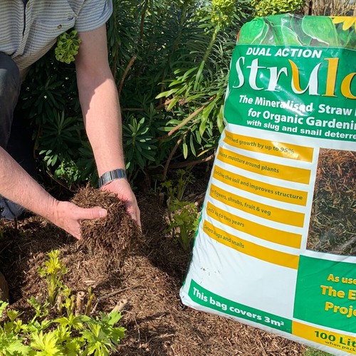 Garden mulch strulch - garden,