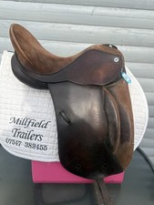 16.5 Brown Barnsby dressage