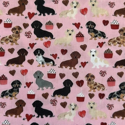 Dachshund sausage dog - dachshund,