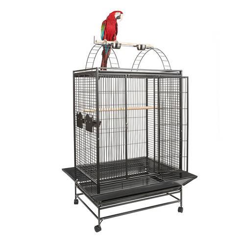 Belize large parrot - parrot, cage