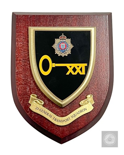 General transport squadron - general,