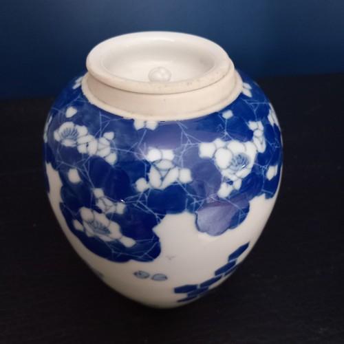 Hand painted oriental ginger - hand,