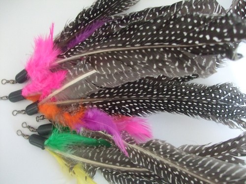Cat toy feather replacement - cat,