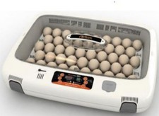 Rcom 50 Max Automatic Egg