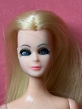🩷 Vintage 1970s Topper Dawn