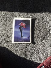 15 Linda McCartney Xmas Cards