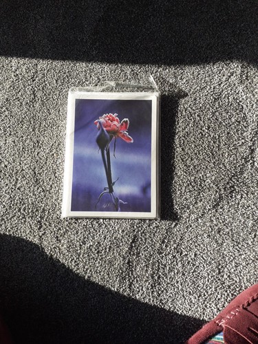 Linda mccartney xmas cards - 15,