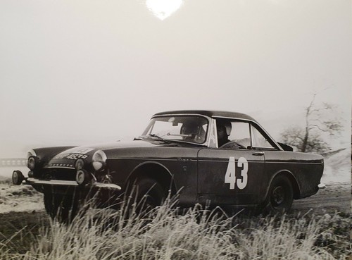 Sunbeam tiger photograph - sunbeam,