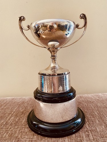 Silver trophy - 🏆, |