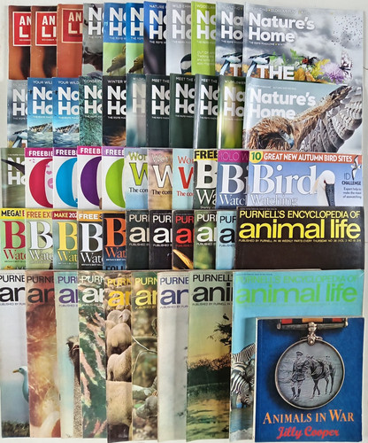 Various animal wildlife - various,