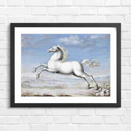 Rearing white classical - classical, horse