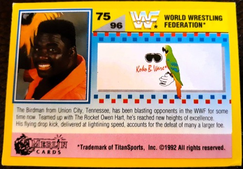 Wwf summer slam 1992 - wwf,