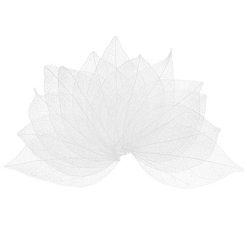 200 pack skeleton leaves - 200-pack,