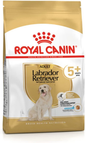 Royal canin labrador - labrador, retriever