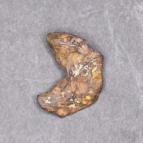 Perfect half moon shape - half,