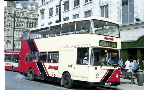 Mayne manchester x - mayne,