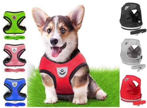 Mesh padded soft puppy - puppy, dog